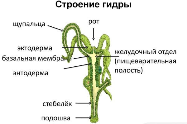 Как зайти на кракен браузеры