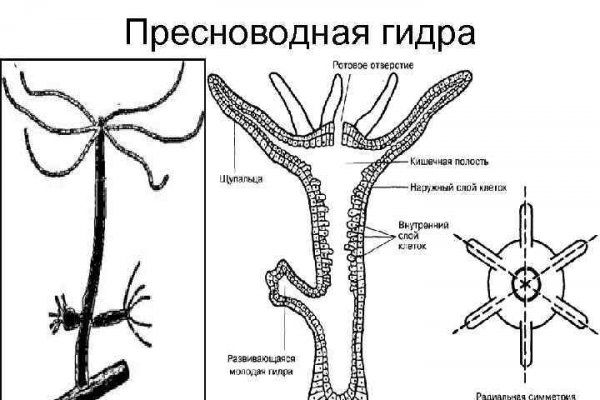 Восстановить доступ к кракену