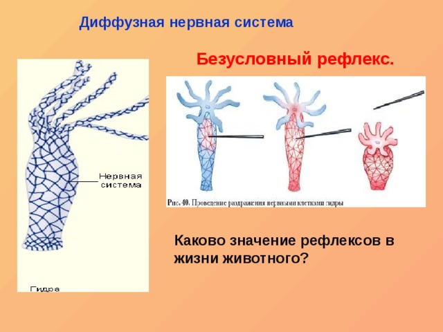 Кракен макет плейс