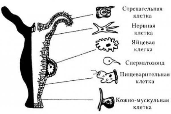 Кракен официальная ссылка