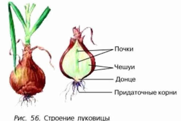 Ошибка на сервере кракен